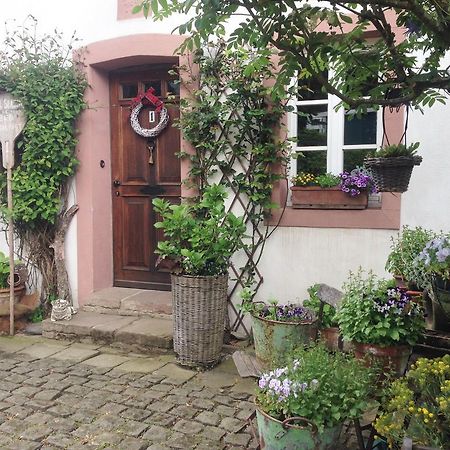 All Seasons Bed & Breakfast Kerpen  ภายนอก รูปภาพ