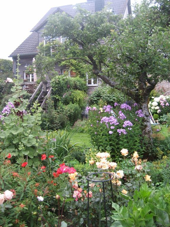 All Seasons Bed & Breakfast Kerpen  ภายนอก รูปภาพ